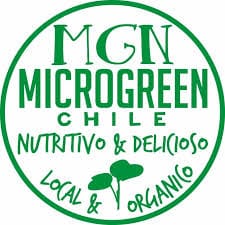 Vegetarian Blog - Phlox Elementor WordPress Theme Logo